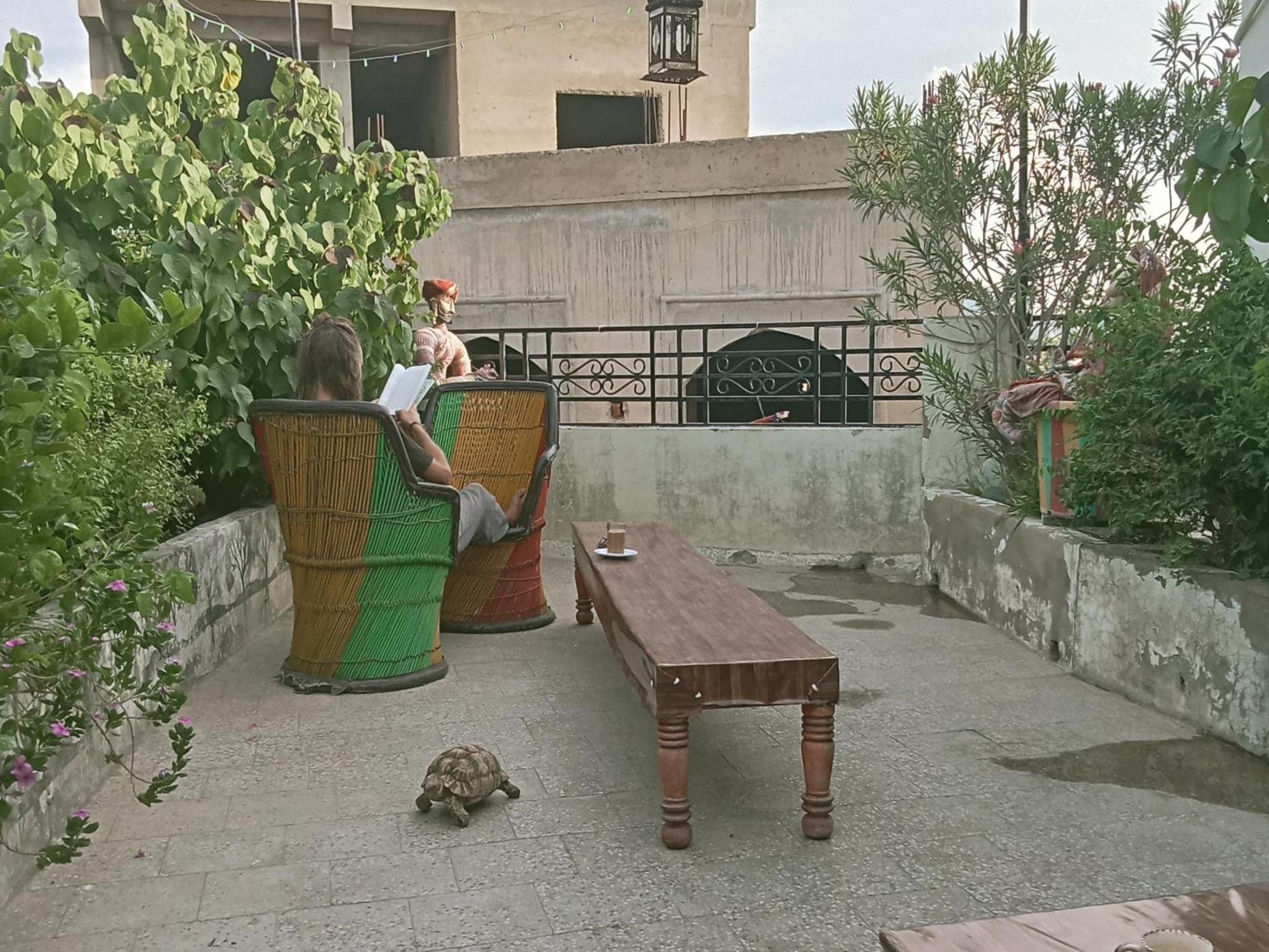 Hotel Nirvana Rooftop Puskár Kültér fotó